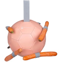 Waldhausen Karottenball Spielball linnea Pink