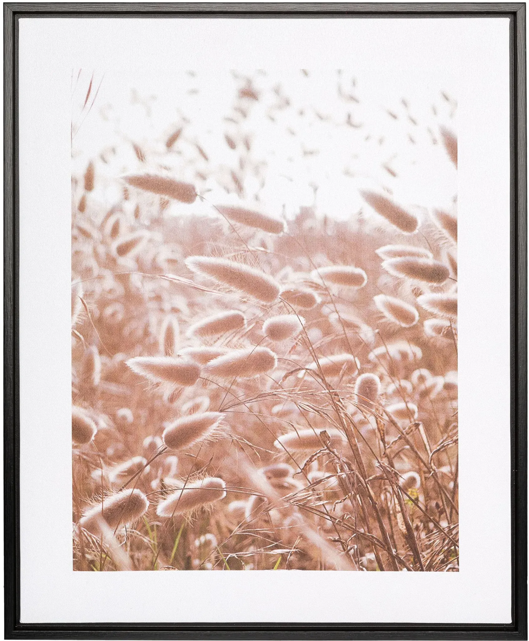 Bild mit Rahmen CREATIV HOME "Leinwandbild Grasblüten", bunt (farbe rahmen: schwarz, farbe bild(er): bunt), B:40cm H:50cm T:2,5cm, Canvas, Kunststoff, Bilder, mit Rahmen