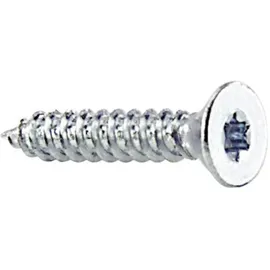 Conrad 839573 Blechschrauben 4,2 mm 9,5 mm T-Profil 100 Stück