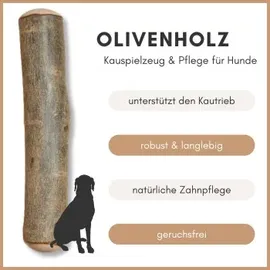 Supravit Olivenholz Hundespielzeug S grün