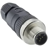 Lutronic 1250 03 T7CR Sensor-/Aktor-Steckverbinder, unkonfektioniert M12 Stecker, gerade Polzahl: 3