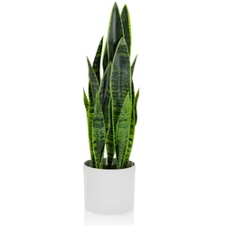 Kunstpflanze / Kunstbaum SANSEVIERIA Bogenhanf 65 cm Kunststoff grün hjh OFFICE