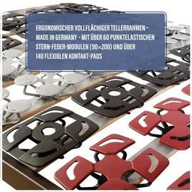 Beco Mediflex Modul NV Tellerlattenrost nicht verstellbar 80 x 200 cm