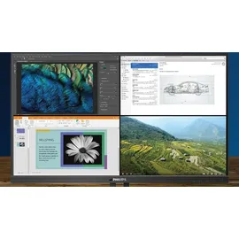 Philips P-Line 439P1/00 43"