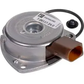 Pierburg 7.06117.24.0 Zentralmagnet, Nockenwellenverstellung