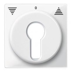 Merten Zentralplatte für Profil-Halbzylinderschlösser, System M (polarweiß gl.)