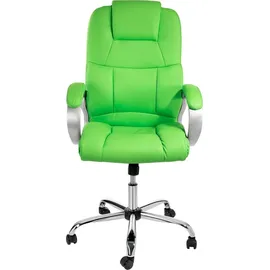 TPFLiving Denver Kunstleder Grün