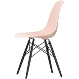 Vitra - Eames Plastic Side Chair DSW RE, Ahorn schwarz / zartrosé (Filzgleiter basic dark)