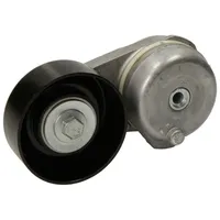 DAYCO Riemenspanner, Keilrippenriemen