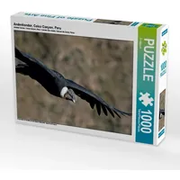 Calvendo Andenkondor, Colca Canyon, Peru Puzzle