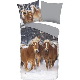 Good Morning Baumwoll Bettwäsche Happy Horses Flanell, - Multi