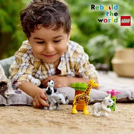 LEGO Duplo Süße Tierkinder 10904