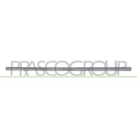 PRASCO Zier-/Schutzleiste, Tür VG0211413