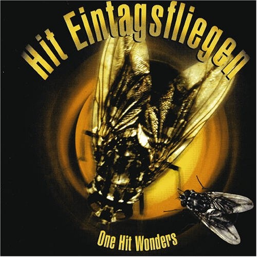 One Hit Wonders [Audio CD] Various (Neu differenzbesteuert)