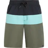 Firefly Badeshorts Natal B Grün 140