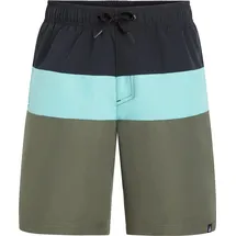 Firefly Badeshorts Natal B Grün 140