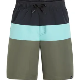 Firefly Badeshorts Natal B Grün 140