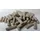 Biohome Aquarienfilter Standard 0,5 kg