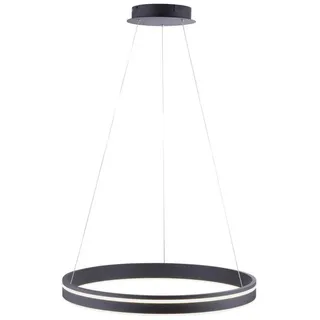 Paul Neuhaus Q-Vito LED-Pendelleuchte, anthrazit