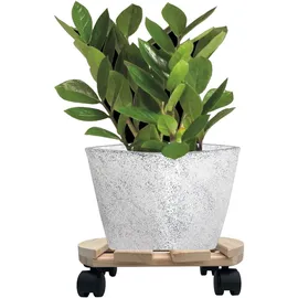 hossis Pflanzenroller Holz rund 30 cm