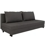 Homesy Schlafcouch mit Bettkasten 2-Sitzer Silber