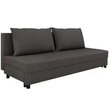 Homesy Schlafcouch mit Bettkasten 2-Sitzer Silber