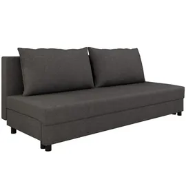 Homesy Schlafcouch mit Bettkasten 2-Sitzer Silber