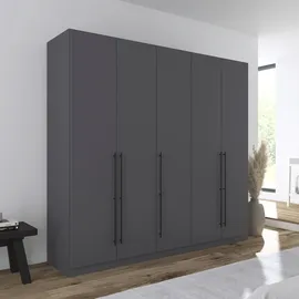 Rauch »Drehtürenschrank Schrank Garderobe Wäscheschrank Schlafzimmer AVOLA« in 3 verschiedenen Ausstattungen BASIC/CLASSIC/PREMIUM, mit hochwertigen Stangengriffen in Schwarz aus Metall MADE IN GERMANY, grau
