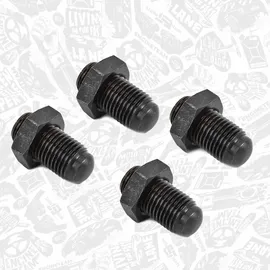 ET Engineteam Justierschraube, Einspritzpumpe BS0030VR2