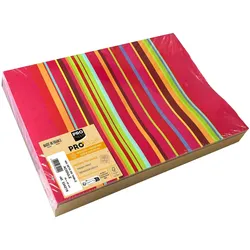 Pronappe 334219I Schachtel mit 400 Dekor-Tischsets, geprägtes Recyclingpapier 80g, Acidulé - Format 30x40cm - Säurehaltig
