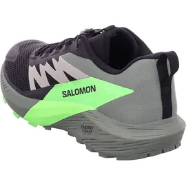 Salomon Sense Ride Herren Black/Laurel Wreath/Green Gecko 46 2/3