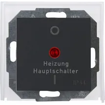 Kopp Heizungshauptschalter Athenis anthrazit,