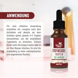 natural pro Stoffwechsel Tropfen 10 ml
