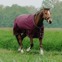 Equithème Tyrex 1200D Outdoor Decke 150g, 6'6