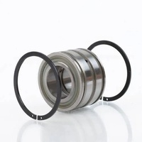INA Zylinderrollenlager SL04170 DPP