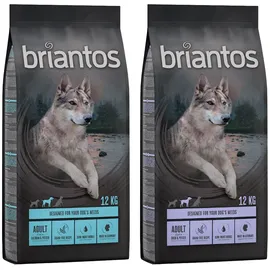 briantos 2 x 12 kg Briantos Adult Trockenfutter für Hunde: Lachs & Kartoffel (getreidefrei)