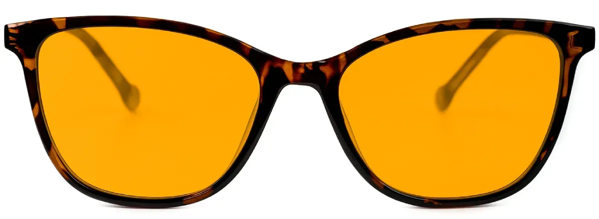 Cat Style Orange
