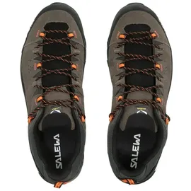 Salewa Alp Trainer 2 GTX Herren Bungee Cord/Black 46