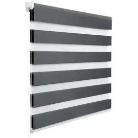 Woltu Doppelrollo 80 x 130 cm grau