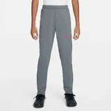 Nike Academy Dri-FIT Jogginghose Cool Grey L