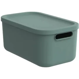 Rotho Aufbewahrungsbox ALBULA 12 L 1-tlg. grün