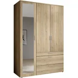 Harper Drehtürenschrank BOSA 135 x 195 x 56 cm Braun/Mehrfarbig