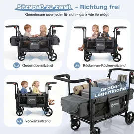Sekey Bollerwagen Faltbar Zwillingsmodus schwarz