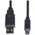E+P Elektrik USB-A auf Mini USB 1,5 m Schwarz