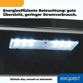 Exquisit GKS240-GT-160C Getränkekühlschrank (237 l, 1400 mm hoch, Schwarz)