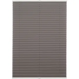 MYDECO Plissee Free 100 x 130 cm hellgrau