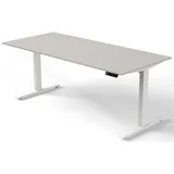 Kerkmann Schreibtisch Move 3 lichtgrau / Weiß