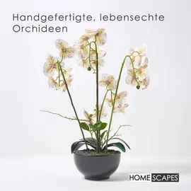 Homescapes - künstliche Weiße Phalaenopsis-orchidee im schwarzen Keramiktopf, 62 cm