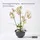Homescapes - künstliche Weiße Phalaenopsis-orchidee im schwarzen Keramiktopf, 62 cm