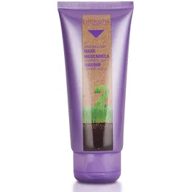 Salerm Biokera Grapeology Maske 200 ml